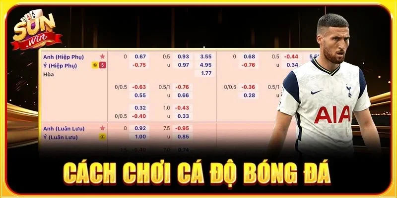 Cách Chơi Cá Độ Bóng Đá: 10 Lưu Ý Bất Bại Mọi Kèo Chơi
